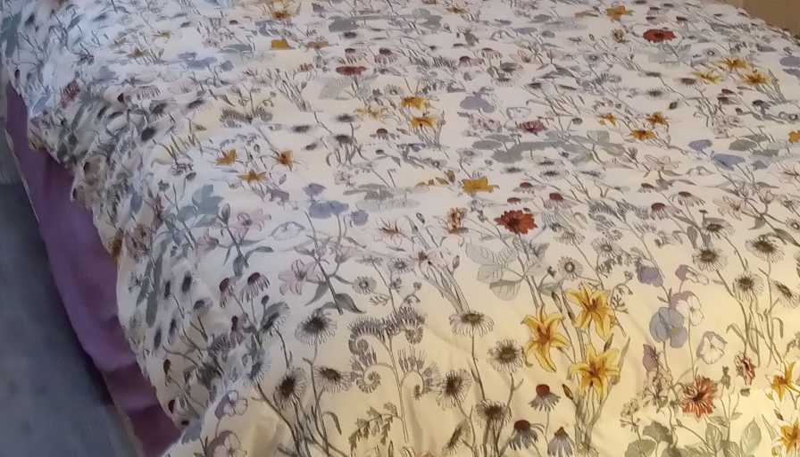 Amy's room