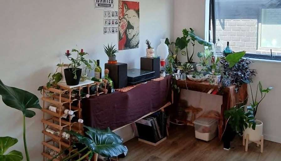 Jazmian's room