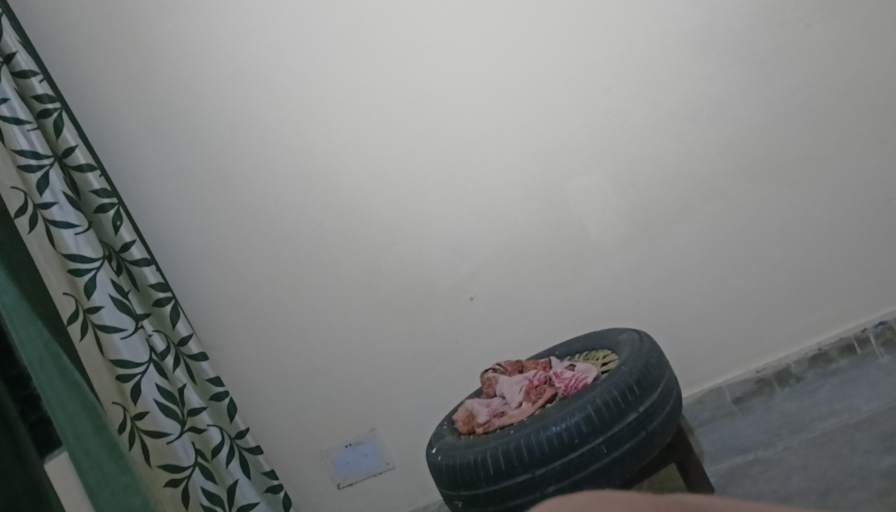 Sameed Hamidi's room