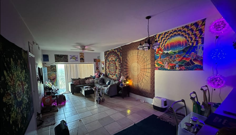 Mashal's room