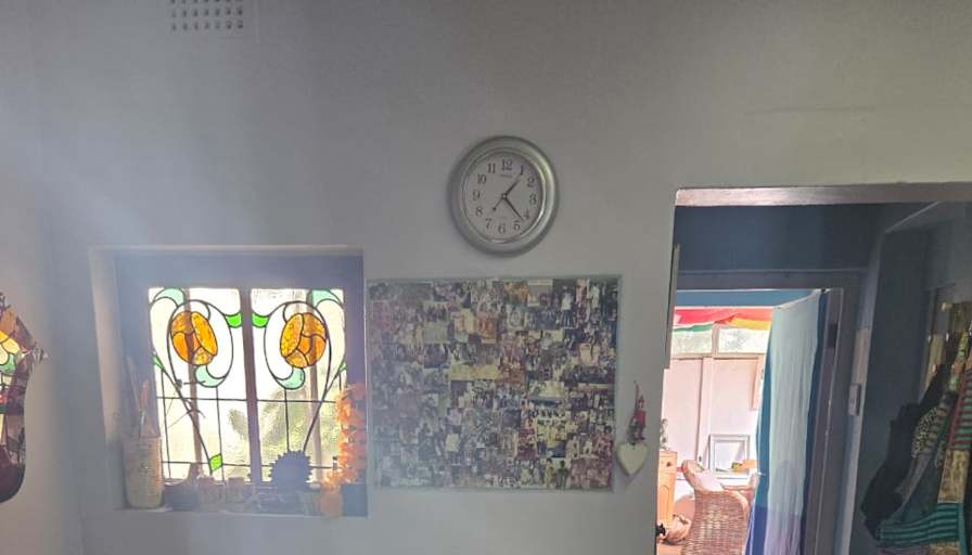 Green Point Tree House's room