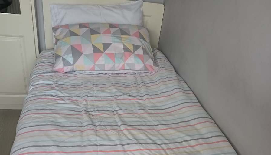 Mary's room