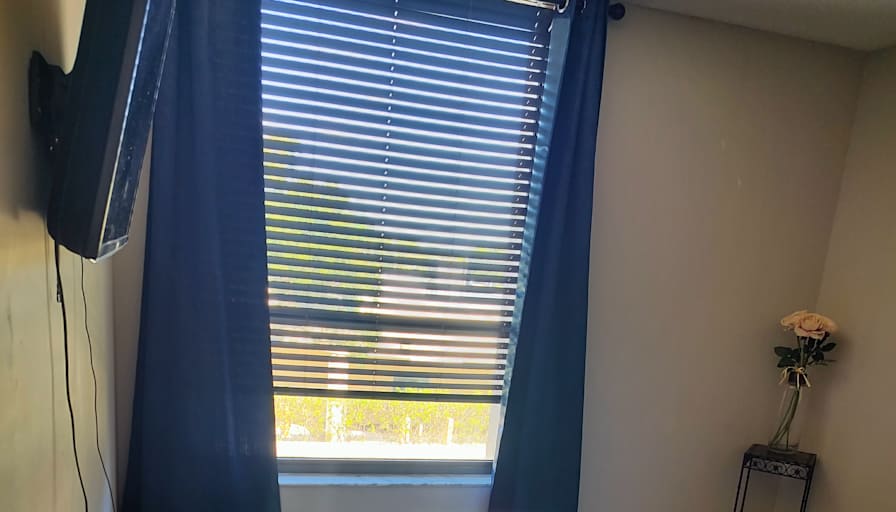 Steph's room