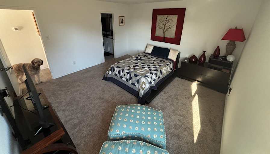 Miguel's room