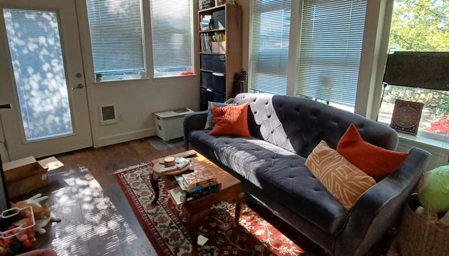 Elle's room