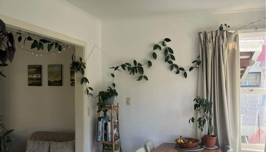 Jackson's room