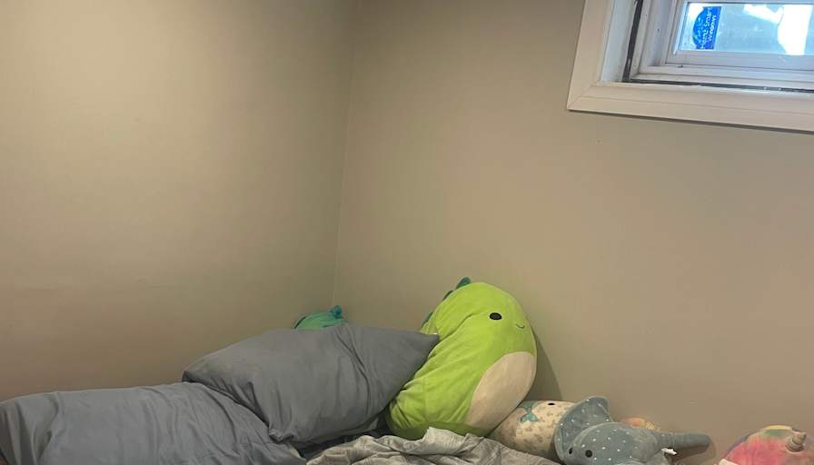 Alina's room