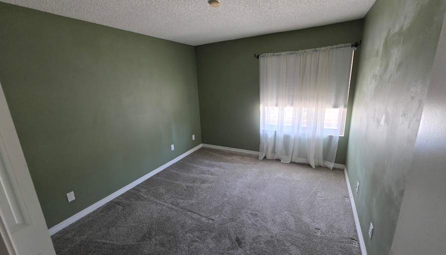 Stephen's room