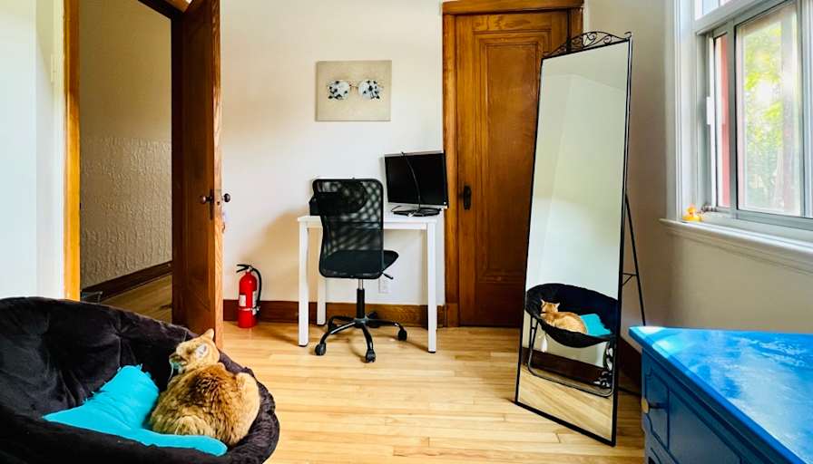 Sonia's room
