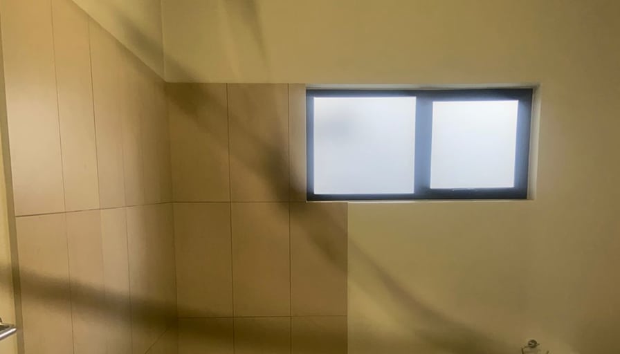 Alexo's room