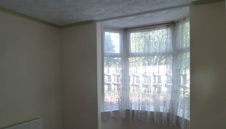 c f's room