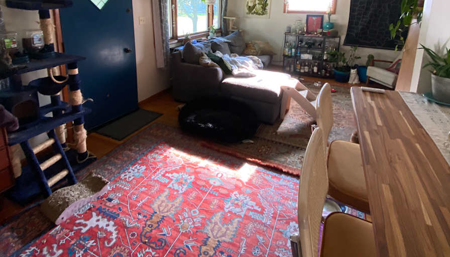 Lauren's room