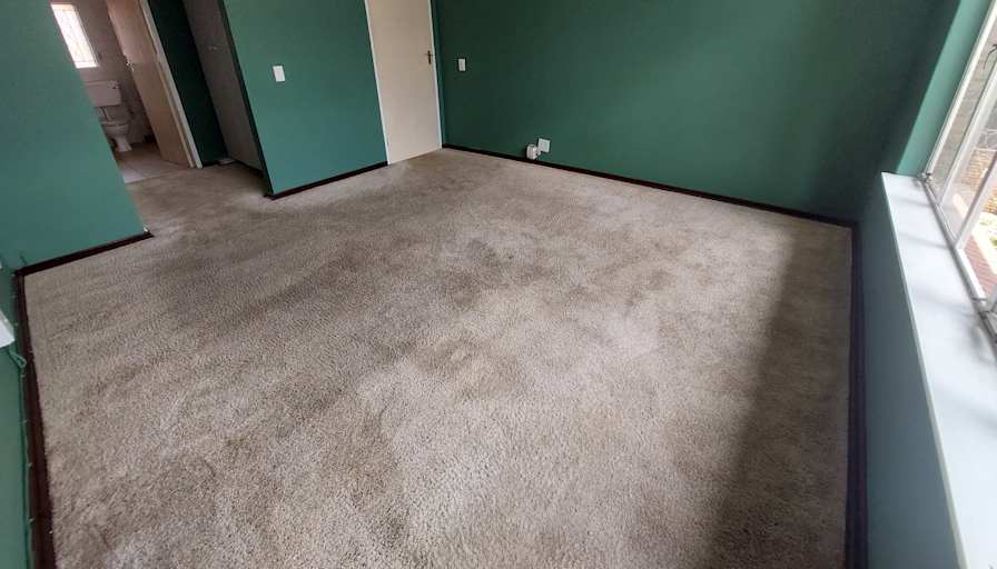 Vincent's room