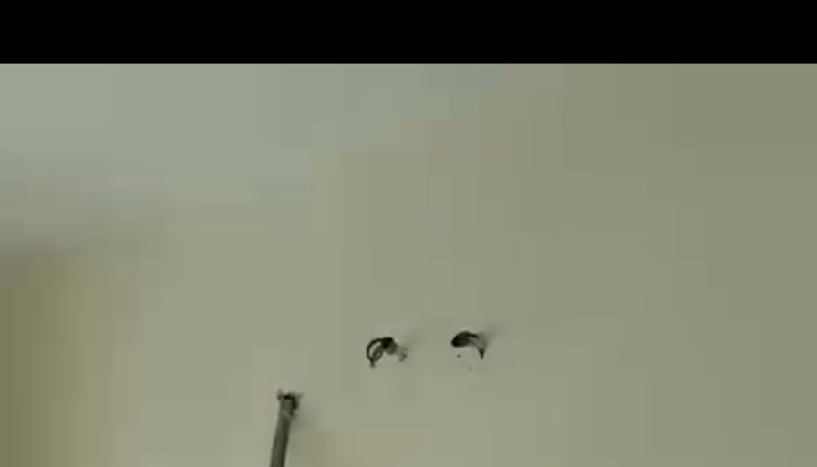 Nandini's room