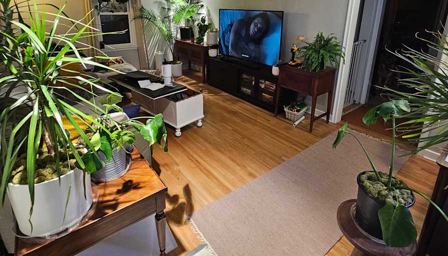 Eli's room