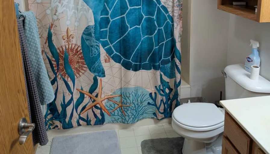 Jacob's room