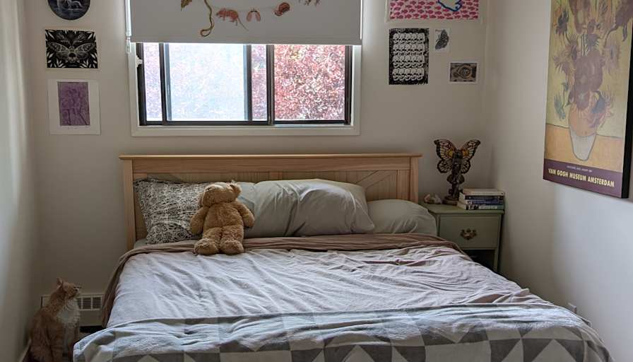 Courtney's room