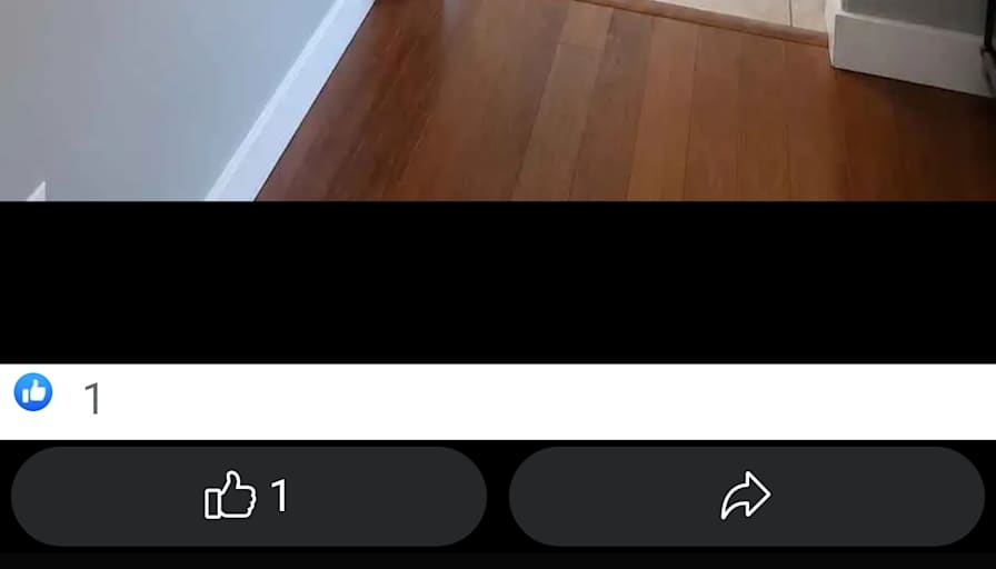Stefan's room