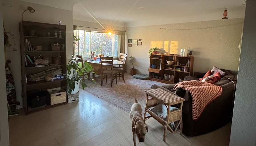 Katarina Keca's room