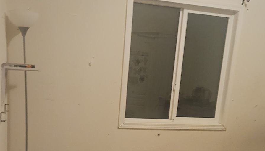 Mary's room