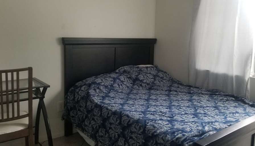 Student Housing's room