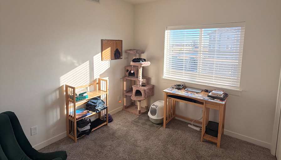 Dev's room