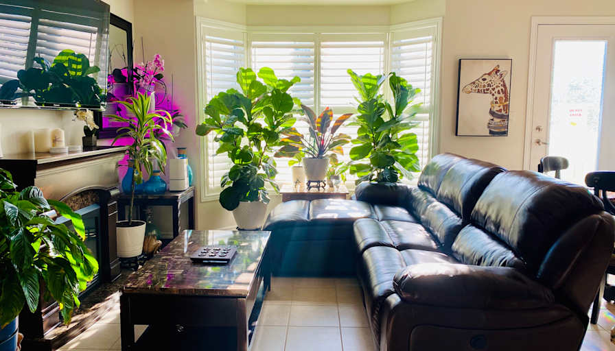 Stephen's room