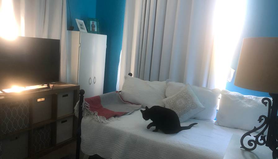 Joyce's room