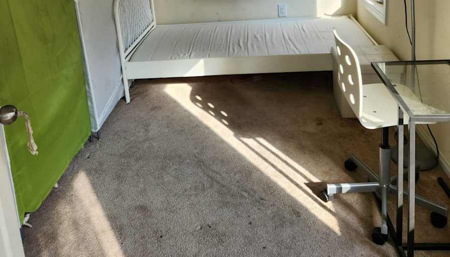 Shaheen's room