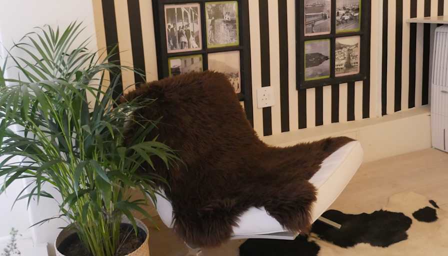Luxurious Management Solutions's room