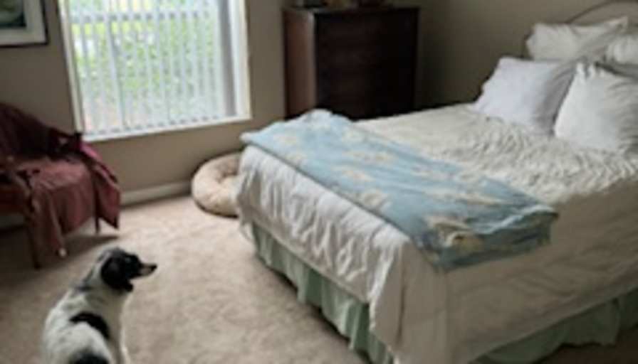 eve's room