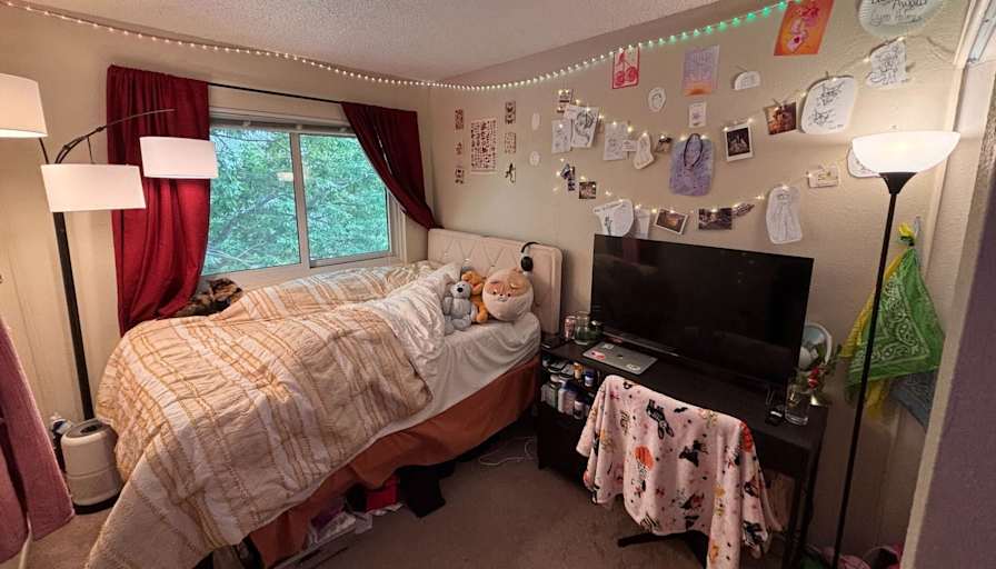 Noah's room