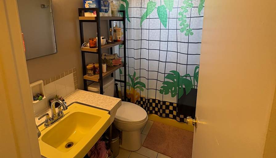 Alexa's room