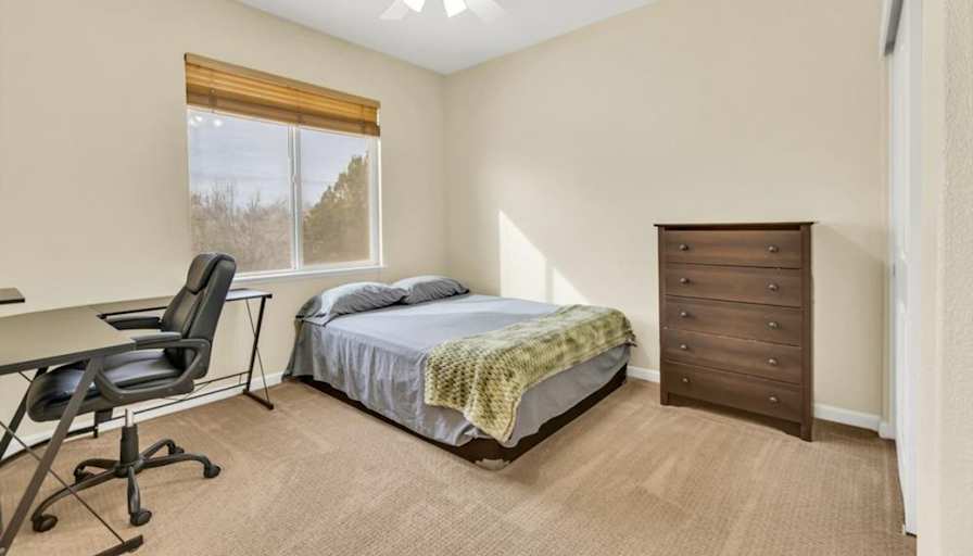 Amir's room