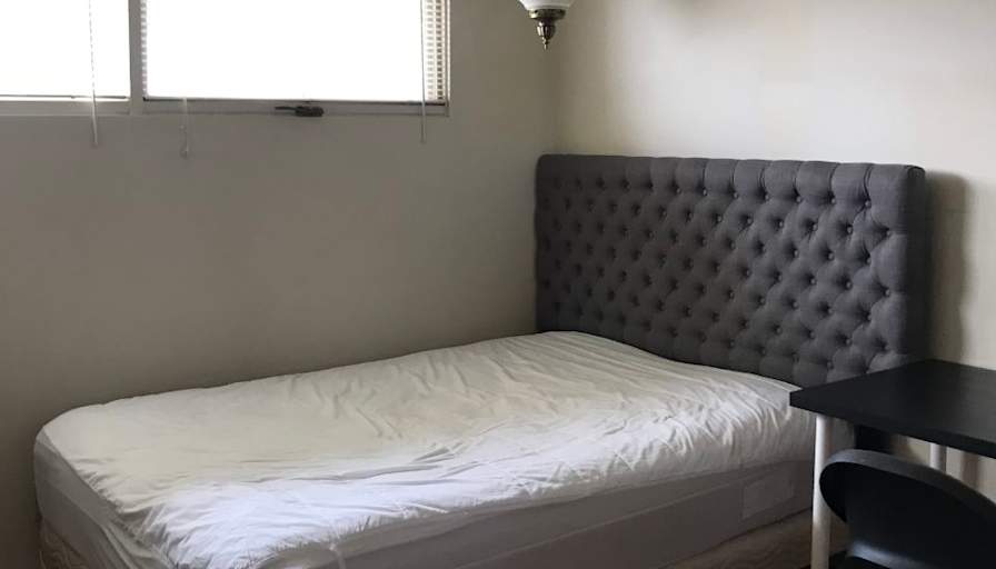 Dave's room
