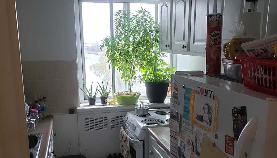Chin's room