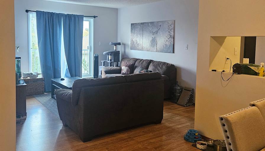 Beanca van Nieuwholtz's room