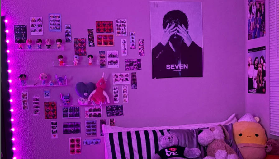 aishani's room