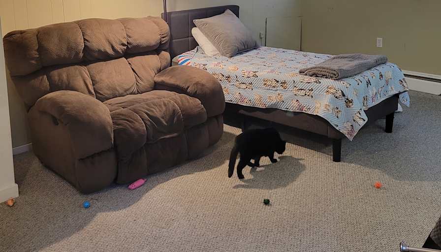 Jennifer's room