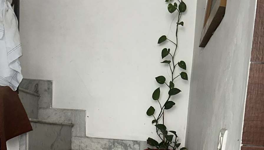 sarika Gupta's room