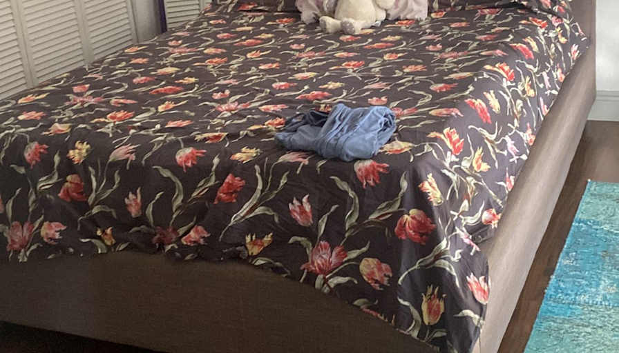 Sevinc's room