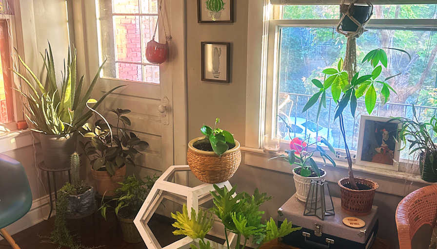 Betsy's room