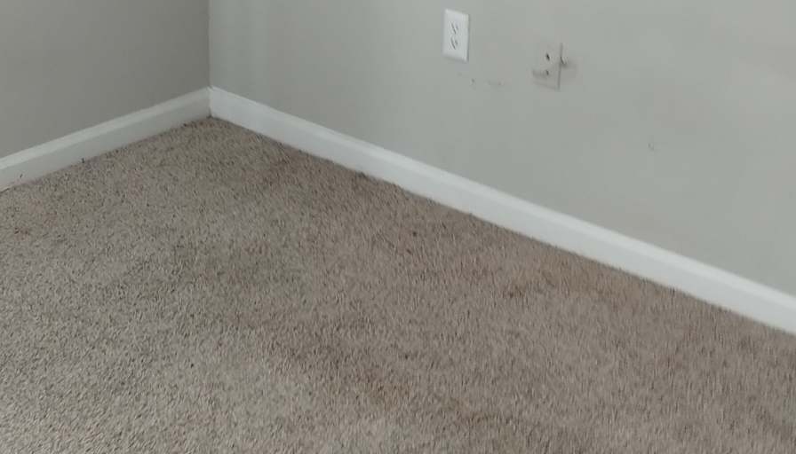 Prince's room