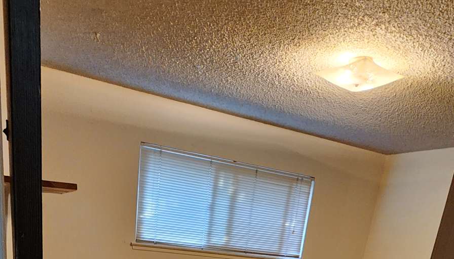 Jacob's room