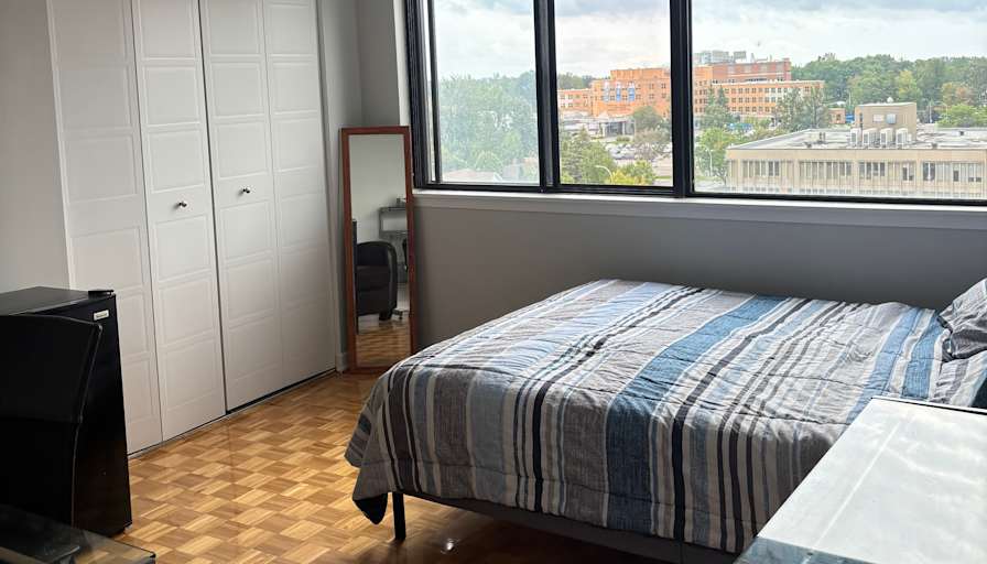Elli's room