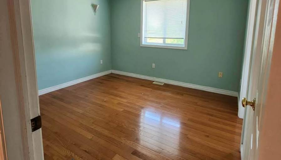 canreaps's room