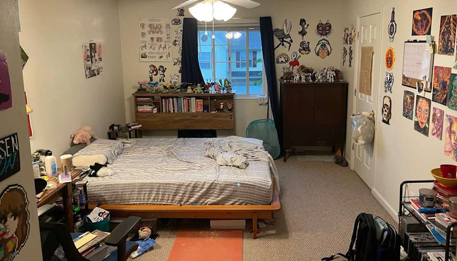 Luci's room