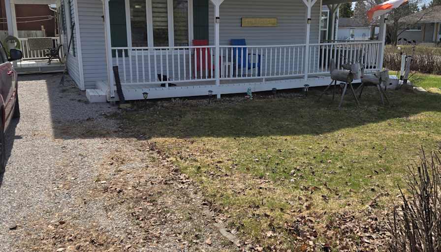 William black's room