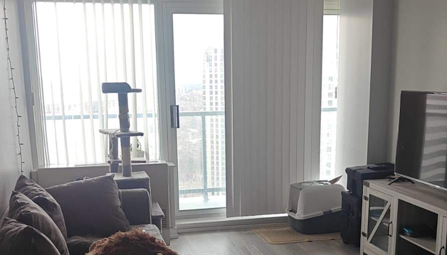 Vaishnavi Ramesh's room