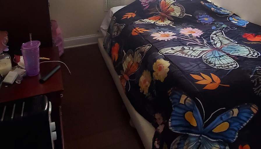 Alexander's room